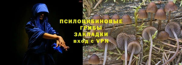 молекула духа Касимов